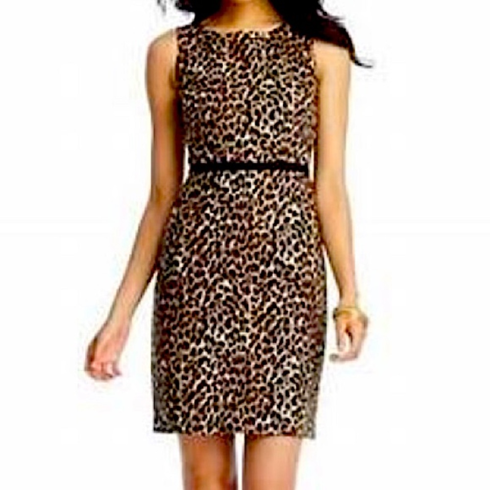 Loft Animal Print Sleeveless Dress